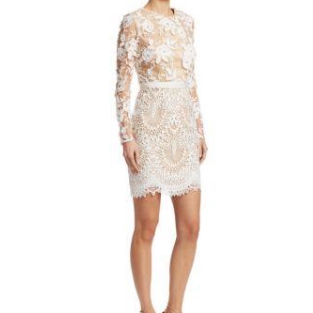 Ml Monique Lhuillier Long Sleeve Floral Embroidered Mesh Dress